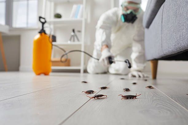 Commercial Kitchen Cockroach Control in Calhoun Falls